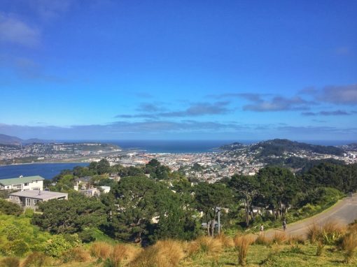 The Mount Victoria Lookout Walkway, Wellington | Tiki Touring Kiwi